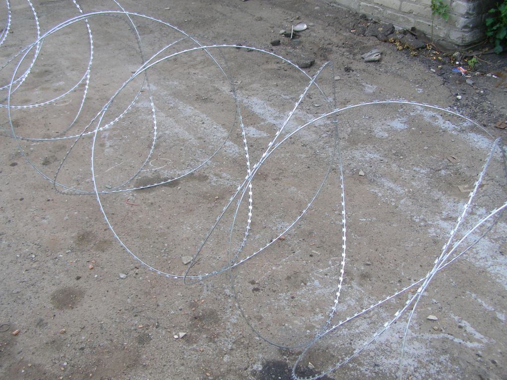 Концертина, Китай